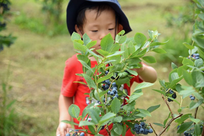 記録更新中の夏日